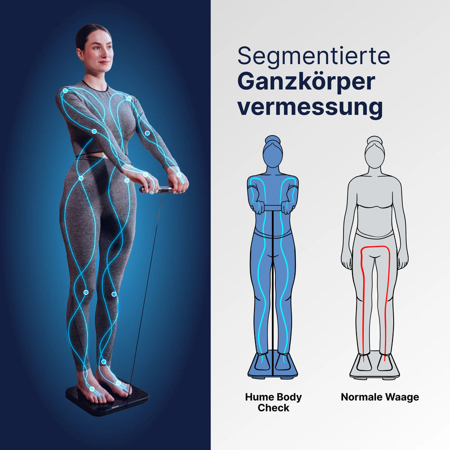 Ganzkörperanalyse für jeden Bereich.